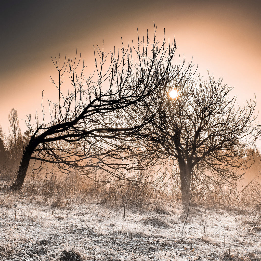 Practising Resilience